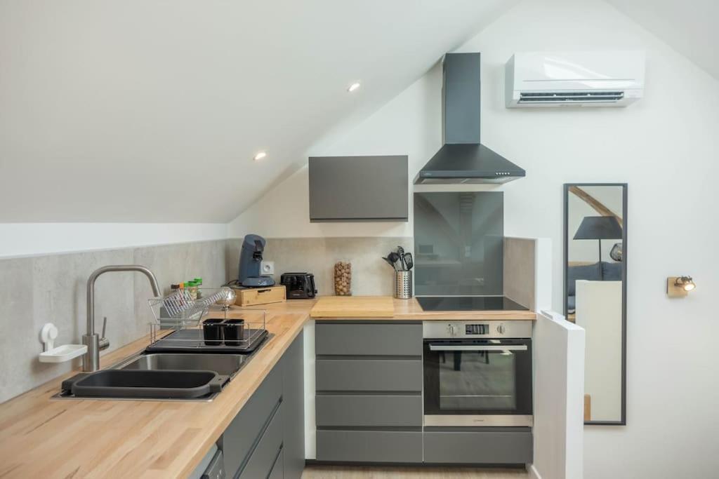 Maison/Appartement Avec Jardin Saint-Denis-en-Val 외부 사진